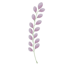 Colorful flower watercolor floral bouquet Png, Wildflowers Spring with Wreaths on Transparent background Png