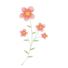 Colorful flower watercolor floral bouquet Png, Wildflowers Spring with Wreaths on Transparent background Png