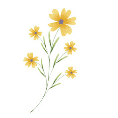 Colorful flower watercolor floral bouquet Png, Wildflowers Spring with Wreaths on Transparent background Png