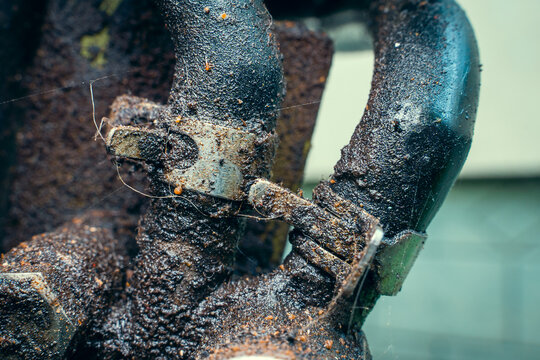 Close-up stepless clamping clamps fasten the hoses in the walk-behind tractor engine. Dirty oil stains with mud sticking to the engine