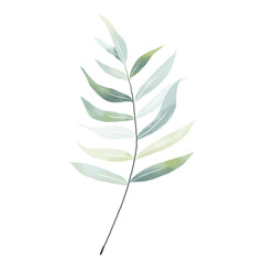 Green leaf watercolor floral bouquet Png, Greenery Elements Wildflowers Spring with Wreaths on Transparent background Png