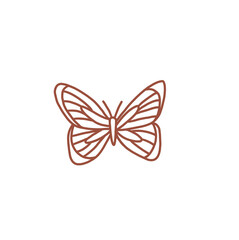 illustration of a butterfly