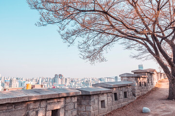 Obraz premium Seoul city view from the fortress wall