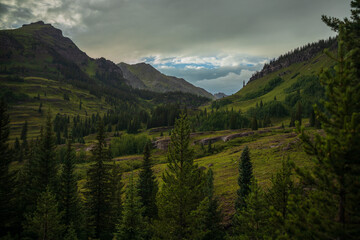 Fototapeta premium Green mountain valley in the forest at twilight