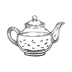 Teapot on white background. Hand drawn vector illustration.