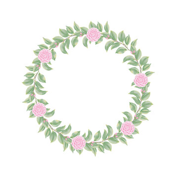 Pink flowers watercolor camellia illustration. pink camellia wreath.