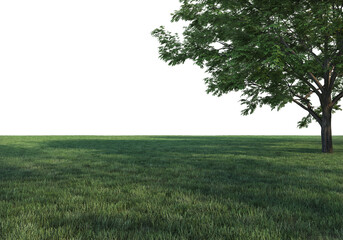 Lawns and trees on a transparent background
