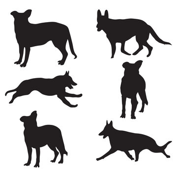 German shepherd dog silhouettes vector illustration different poses on white background.
