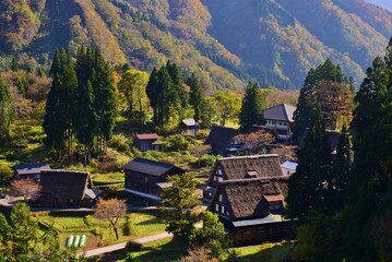 世界遺産　白川郷合掌造り集落　秋景色