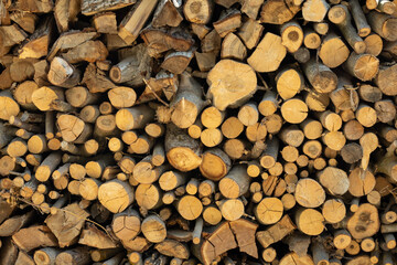 Cross section of tree trunks background. Cutting tree trunks placed together for interior decorate, background