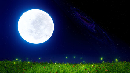 Fototapeta na wymiar Full moon night. Blue. The night sky has Nebula or the Milky Way stars. Green fields have little flowers and fireflies flying over the tops of the grass. nature outdoor meadow at night 3D rendering