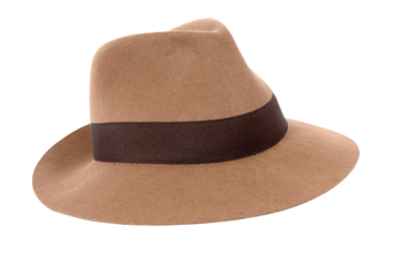 Classic brown felt Fedora hat isolated transparent background photo PNG file
