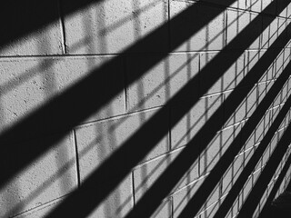 Shadows on a wall