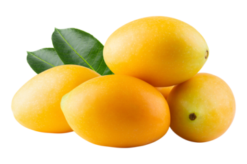 Sweet Marian plum fruit isolated on alpha background.