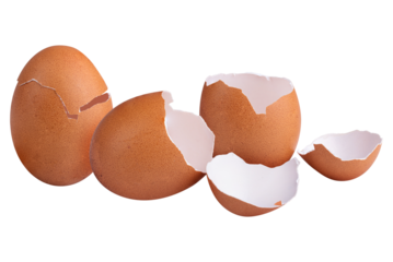 Broken Brown eggshell isolated on a alpha background.