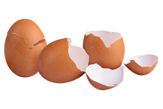 Broken Brown eggshell isolated on a alpha background.