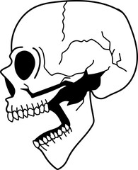 boho illustration on transparent background