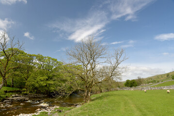 Path beside River Wharfe in Langstrothdale