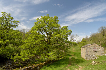 Path beside River Wharfe in Langstrothdale