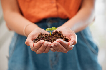 Hands, closeup and holding growing seeds from healthy pot of soil. Agriculture, sustainable and green business for eco friendly living. Hope for environmental innovation and safe ecosystem.