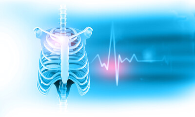 Human rib anatomy. Medical background. 3d illustation.