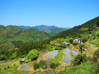 村を見下ろす風景