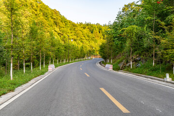 Fototapeta premium High asphalt road in the forest