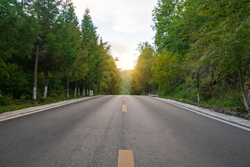 High asphalt road in the forest