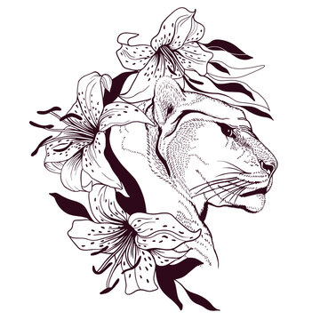 Puma heads in lily flowers. Pencil drawing in a minimalist style, suitable for tattoos, interior decoration, paintings, logo, printing on textiles and t-shirts. Predator.