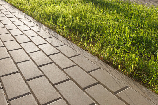 A Modern Pavement Of Rectangular Concrete Pavers And A Lawn Separated By A Concrete Curb. Backlit By The Sun. Angle View.