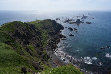 Obraz premium Cape Erimo in summer with white flowers and the blue sea