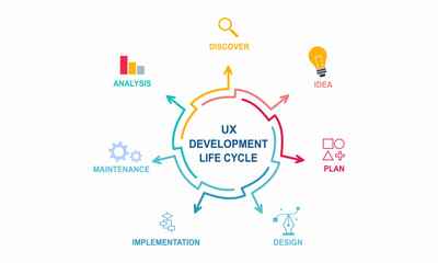 UI UX development life cycle. app development cycle. infographic template. vector illustration.