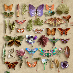 Butterflies and plants on vintage paper, entomological and botanical set.