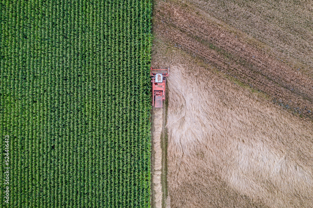 Sticker Combine harvester during harvest season in Mazowsze region, Poland