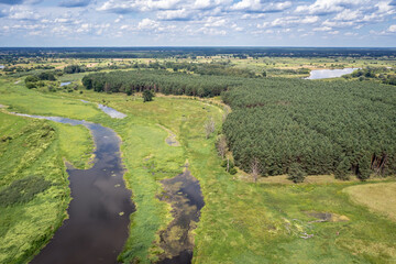 Fototapeta na wymiar Landscape and River Bug near Szumin village, Mazowsze region, Poland