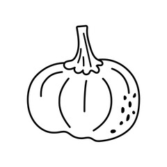 Pumpkin autumn linear contour drawing. Vector isolated doodle illustration for postcards, design, decor, printing