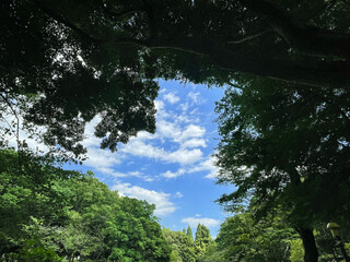 井の頭公園の青空、東京