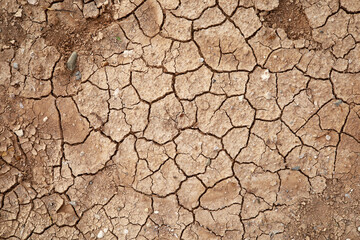 cracked earth texture background.environmental issues
