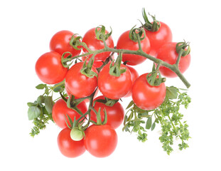 Ripe cherry tomatoes, basil, isolated on white background