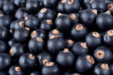 Ribes nigrum, fresh ripe blackcurrant, berries, close-up, as a background