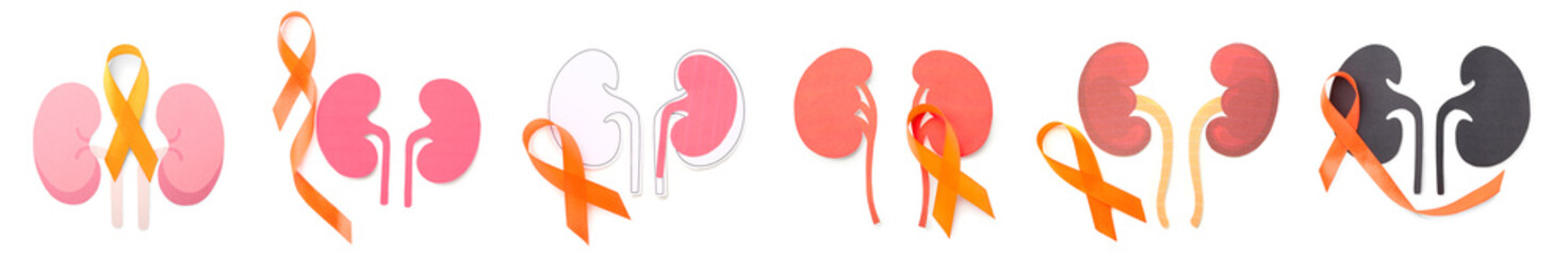 Set of orange awareness ribbons and paper human kidneys on white background