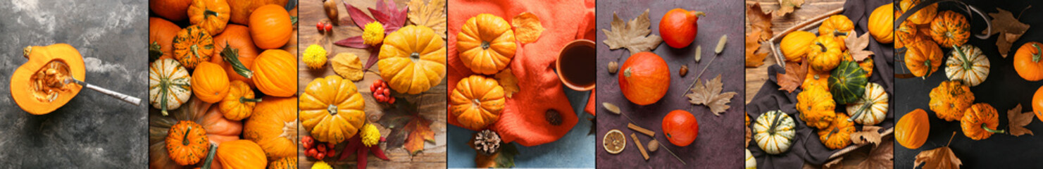 Autumn collage with many ripe pumpkins, top view