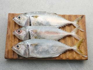 Ikan Kembung, Kembung Fish or Mackerel Fish on wooden chopping board.
