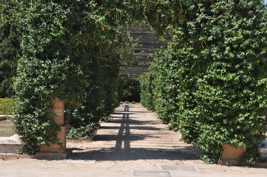 Fauna y parques