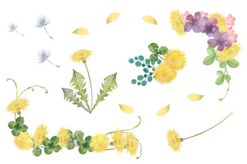 水彩で描いたタンポポの花セット
