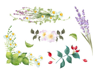 水彩で描いたハーブのブーケセット
Set of watercolor floral arrangements with herbs. 