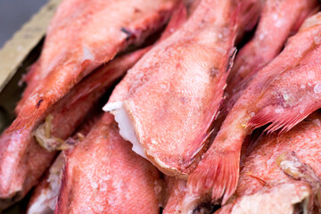 Red sea bass, fresh frozen fish