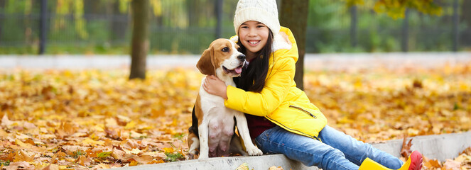 Little Asian girl with her beagle dog walking in autumn park
