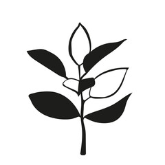 Rubber-bearing ficus. The silhouette of a houseplant. A simple tattoo of a plant. Vector illustration isolated on a white