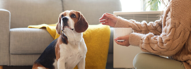 Woman and cute Beagle dog sitting near convector heater at home